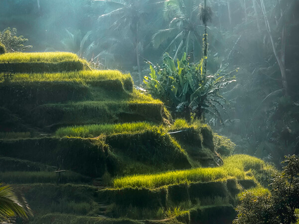 Beautiful Bali with Malaysia